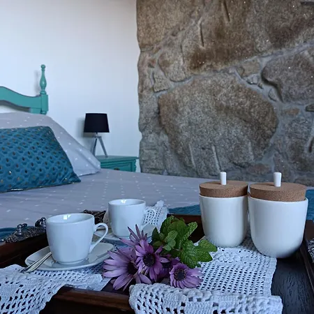 Fraga's House - Douro E Natureza * Coura (Vila Real)