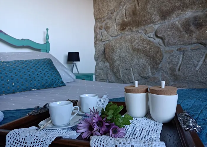 Fraga's House - Douro E Natureza * Coura (Vila Real)